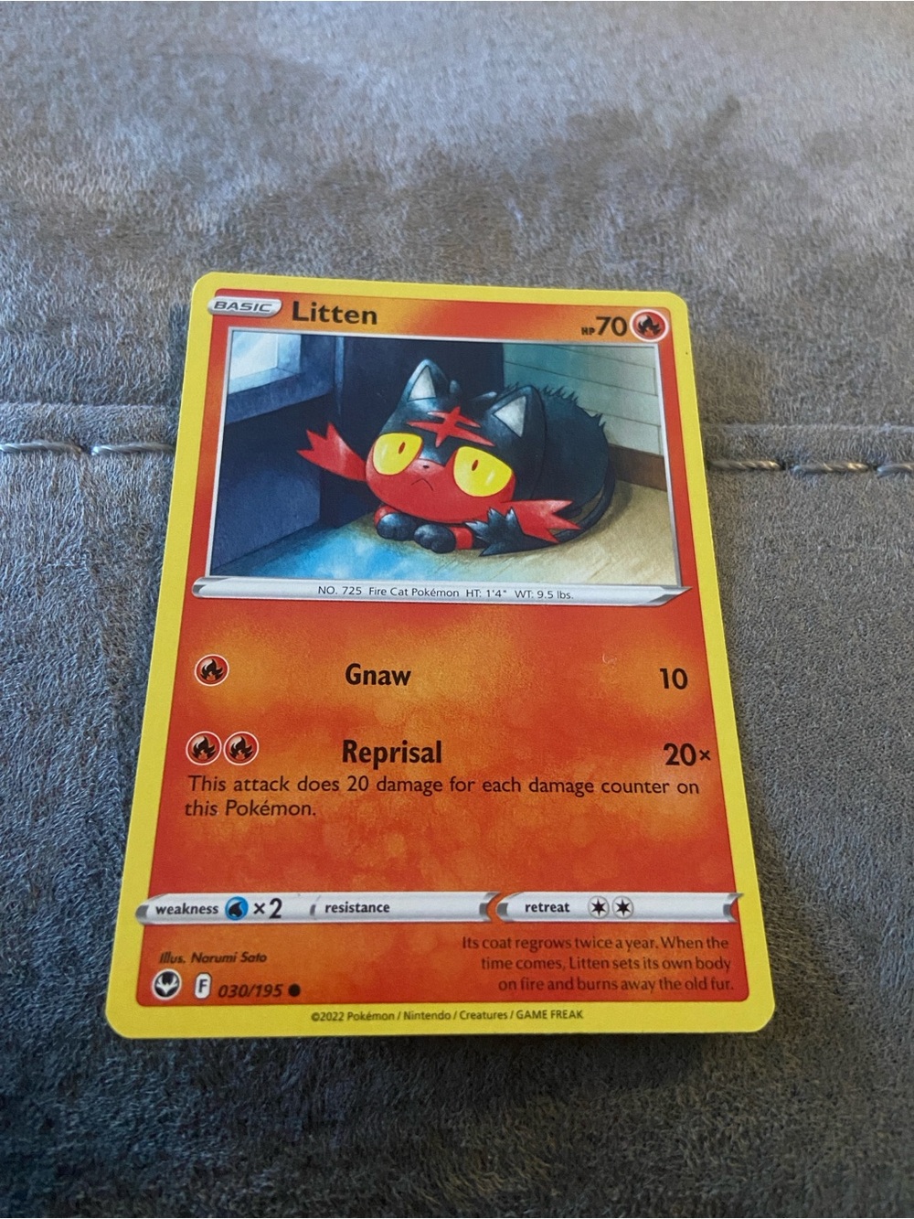 Litten (Card Number 030/195)Silver Tempest